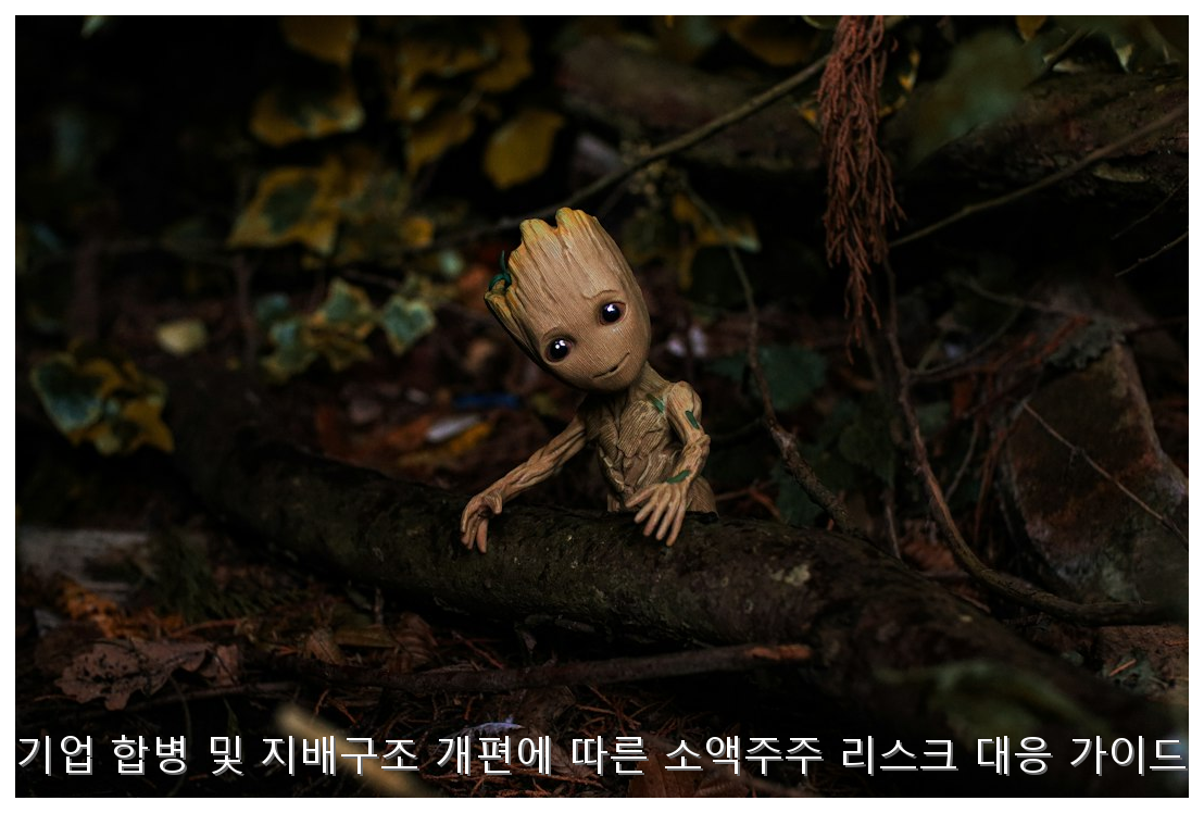 기업 합병·지배구조 개편 리스크 대응 가이드 핵심 안내 및 분석 인포그래픽 (3)