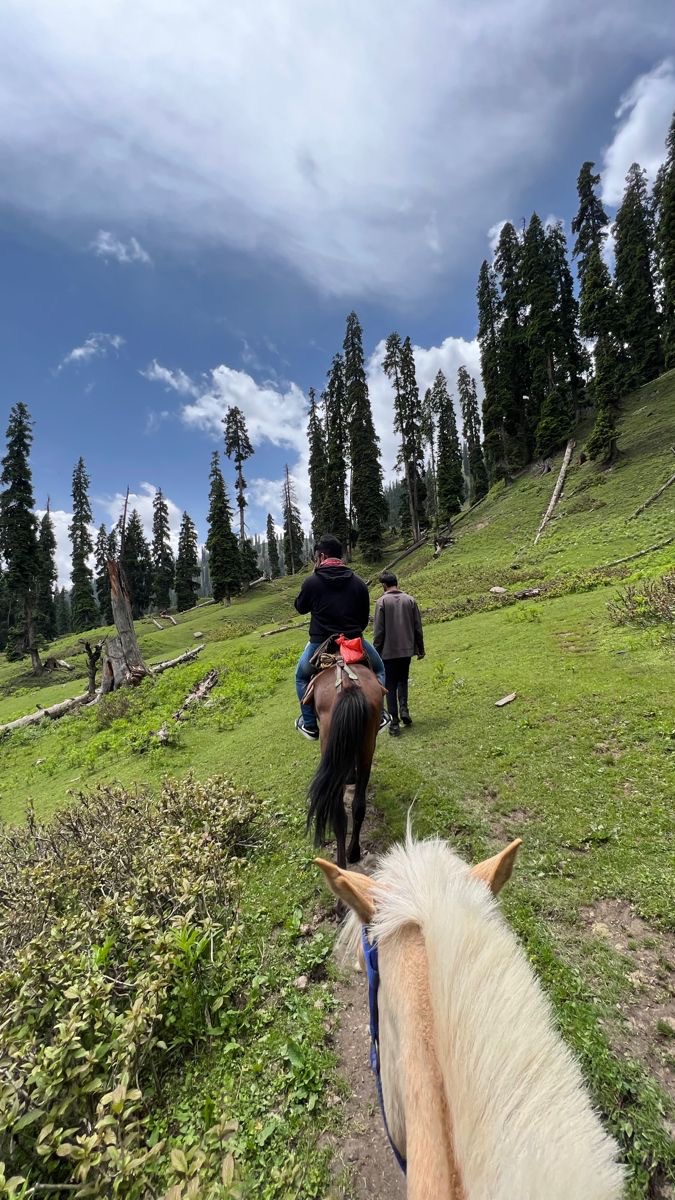 Horse Riding