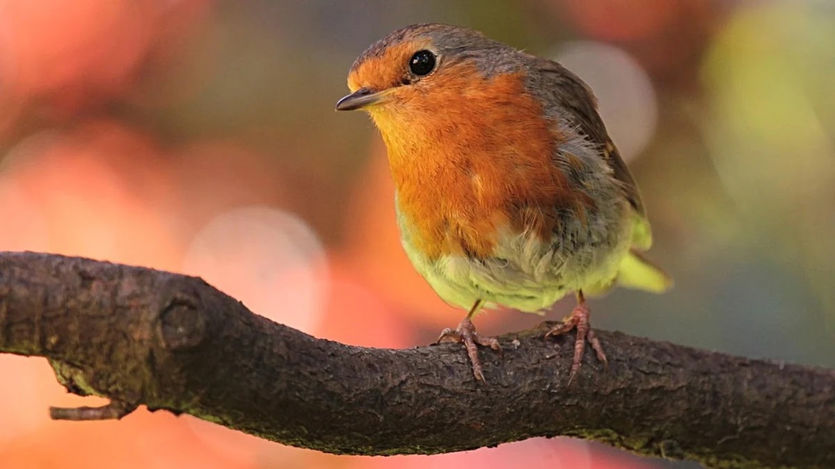간기능 검사 항목별 정상 범위와 이상 시 신체 영향
