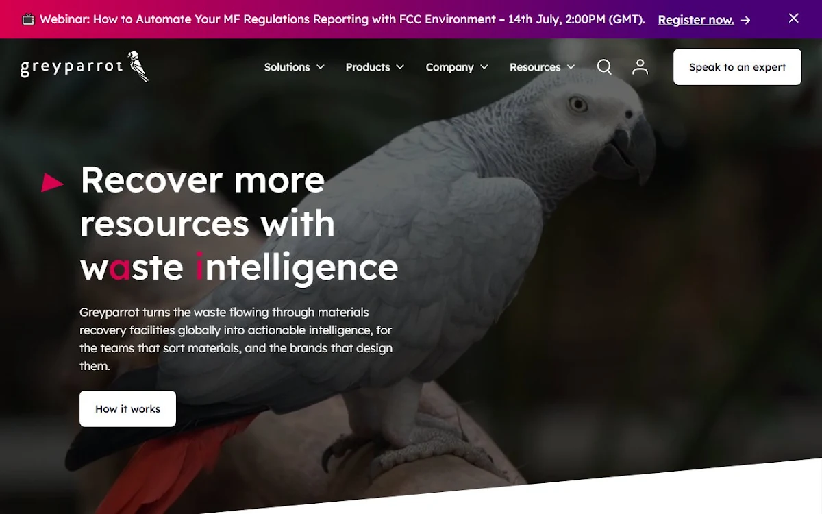 Captura de greyparrot.ai