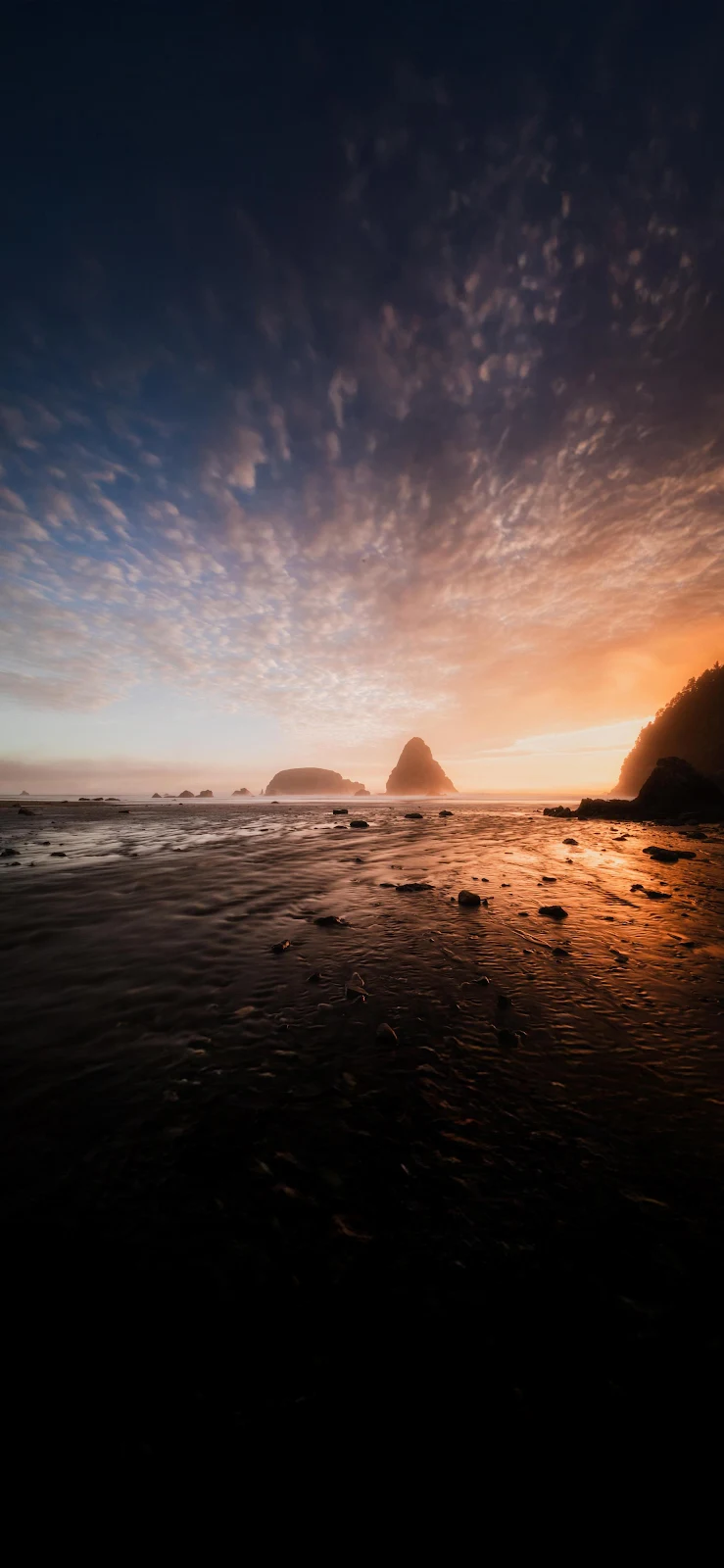 Golden Oregon Coast Sunset - Landscape Photography 2K iPhone Wallpaper (1772x3839)