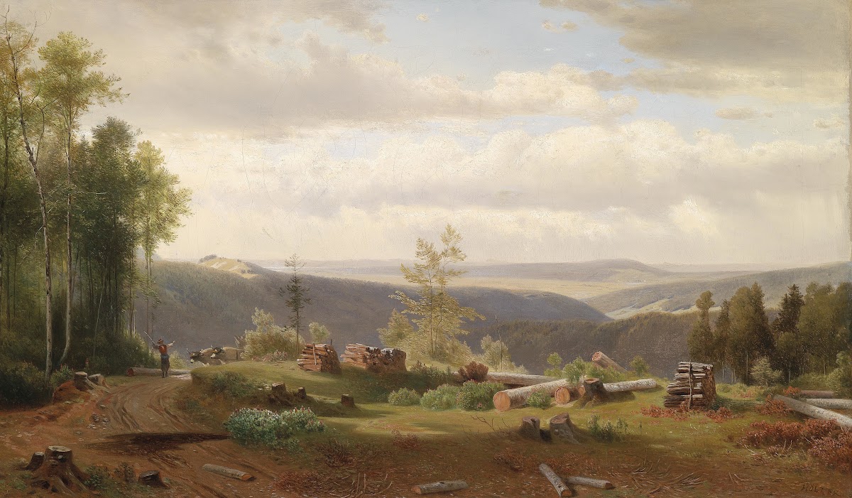 Motiv aus dem Wienerwald