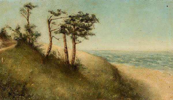 Pine trees at the seaside