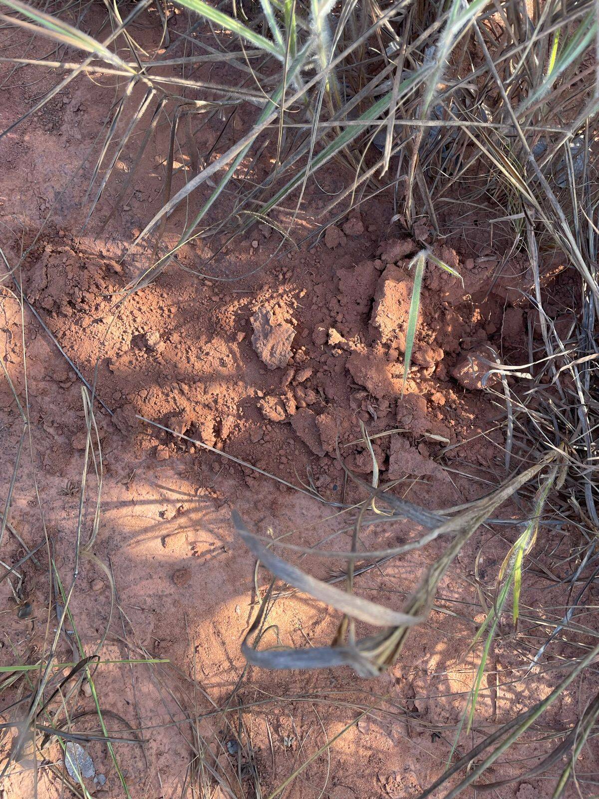 Fazenda em Recursolândia-TO 5