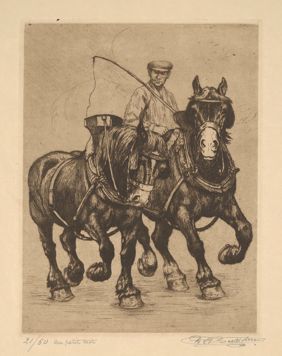 Au petit trot  Chevaux