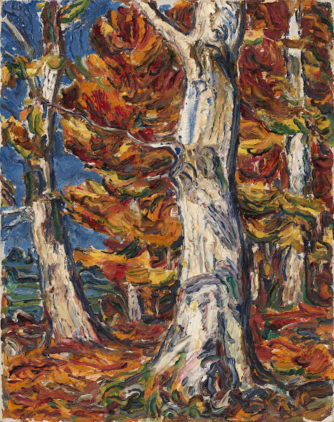 White Beeches in Fall 1910