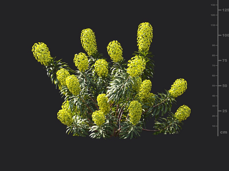 Maxtree - Plant Models Vol.119