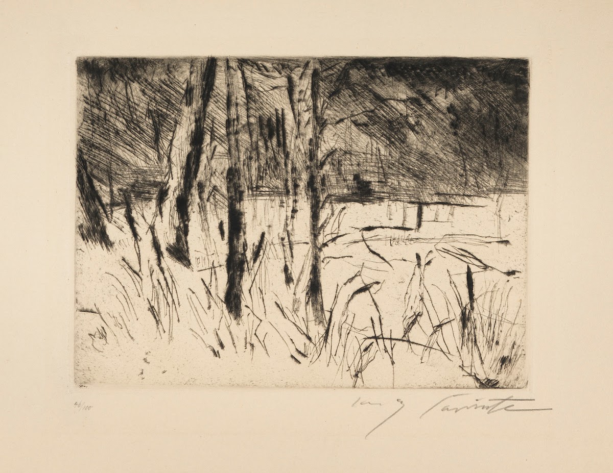 Tiergarten im Januar 1922