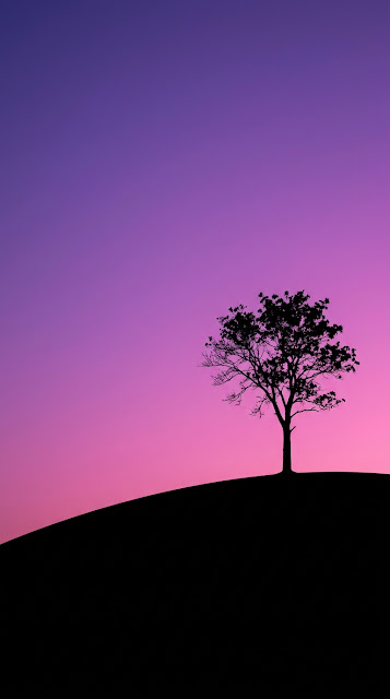 Minimalist Silhouette of a Lone Tree on a Hill Against Twilight Sky - Free mobile Wallpaper