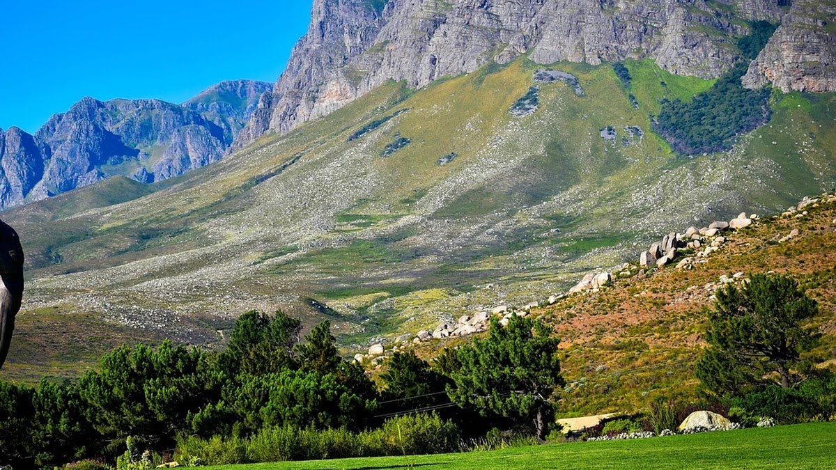눈 감고 아웅 관용구의 어원과 현대적 의미 변화