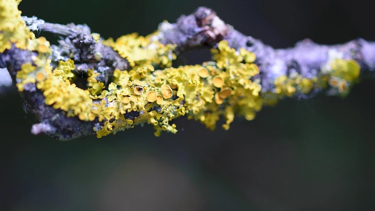 윈도우 11 최적화 설정으로 속도 개선하는 방법