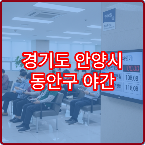 경기도 안양시 동안구 야간 한의원 진료 병원 침·추나요법 치료 가능