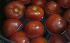 Đun sôi nồi nước, cho cà chua vào, chần sơ qua khoảng 5 phút. Sau đó, vớt cà chua ra, bóc bỏ lớp vỏ bên ngoài.