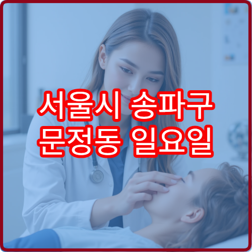 서울시 송파구 문정동 일요일 산부인과 진료 병원 여성 진료