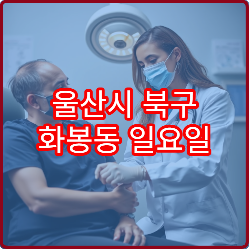 울산시 북구 화봉동 일요일 이비인후과 진료 가능한 병원 호흡기 증상 안내
