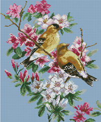 CMP 4877 Pattern