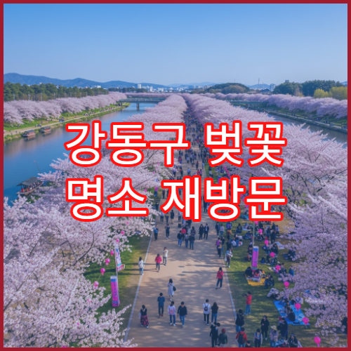 강동구 벚꽃 명소 재방문 이유 평일vs주말 솔직 후기 비교