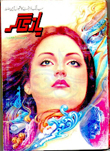 Bazigar 2  By Shakil Adilzada PDF