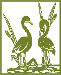 CMP 6688 Pattern