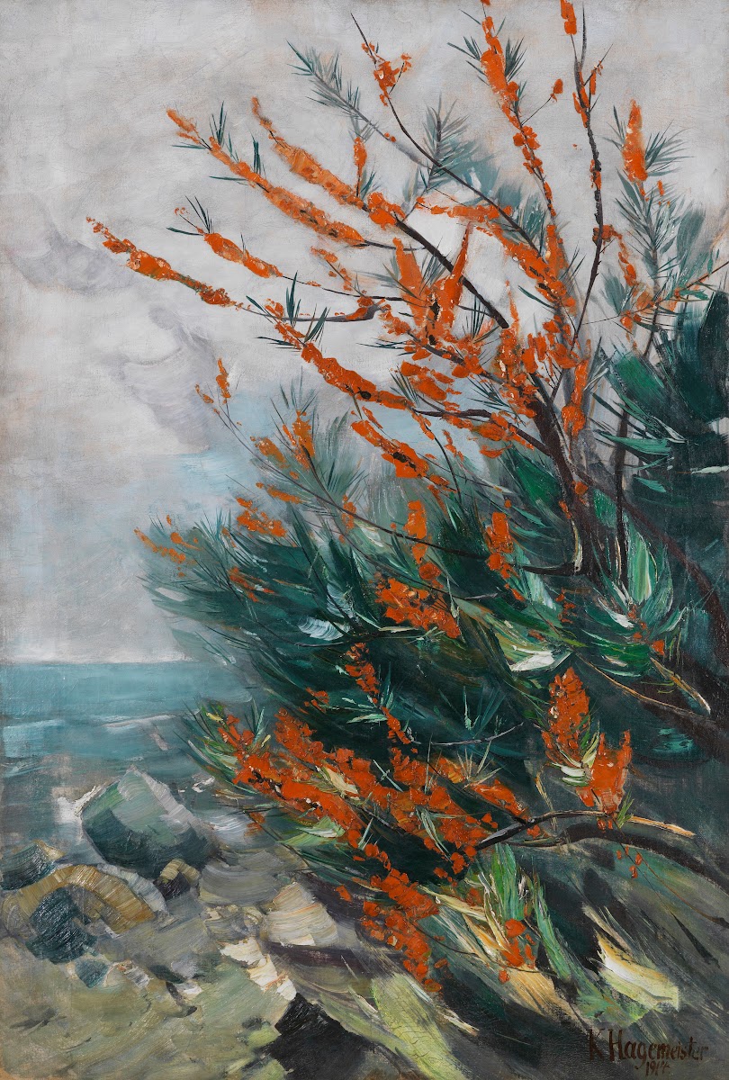 Sanddornstrauch an der Meeresküste 1914