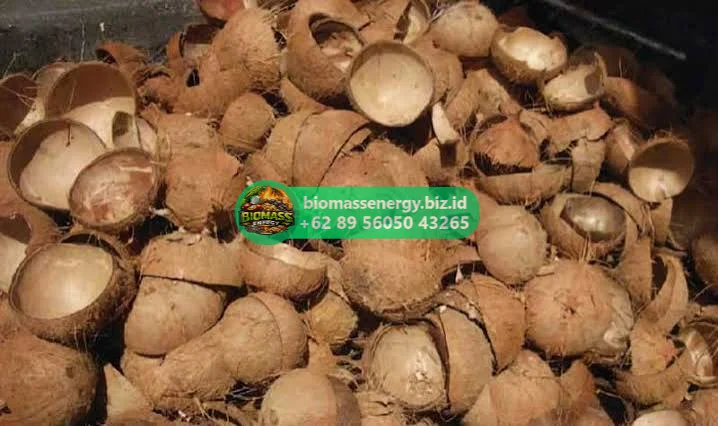 Raw Coconut Shell Charcoal Bulk View