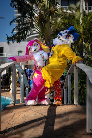 furdu-03871.jpg