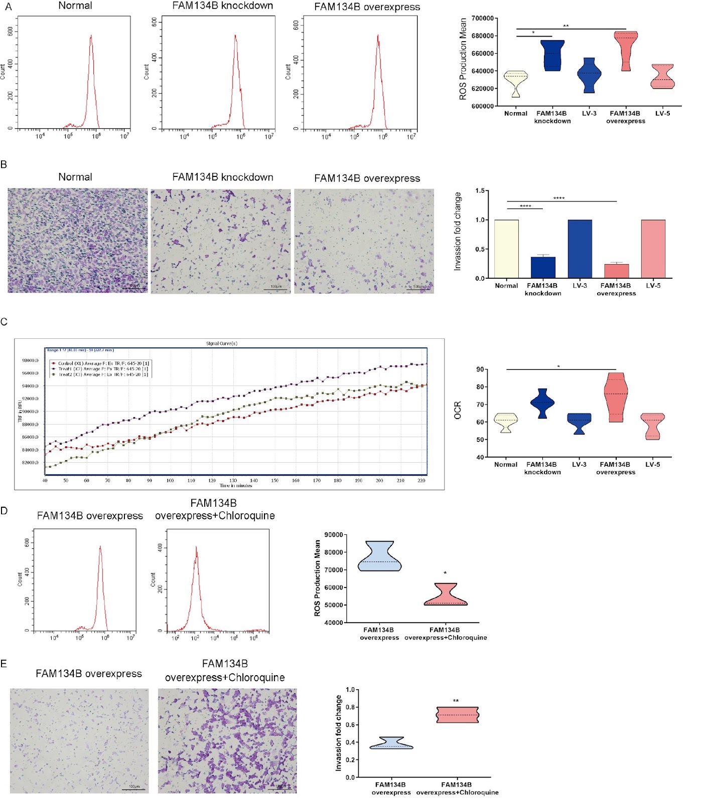 Excessive ER-phagy mediated by FAM134B contributes to trophoblast cell mitochondrial dysfunction in preeclampsia