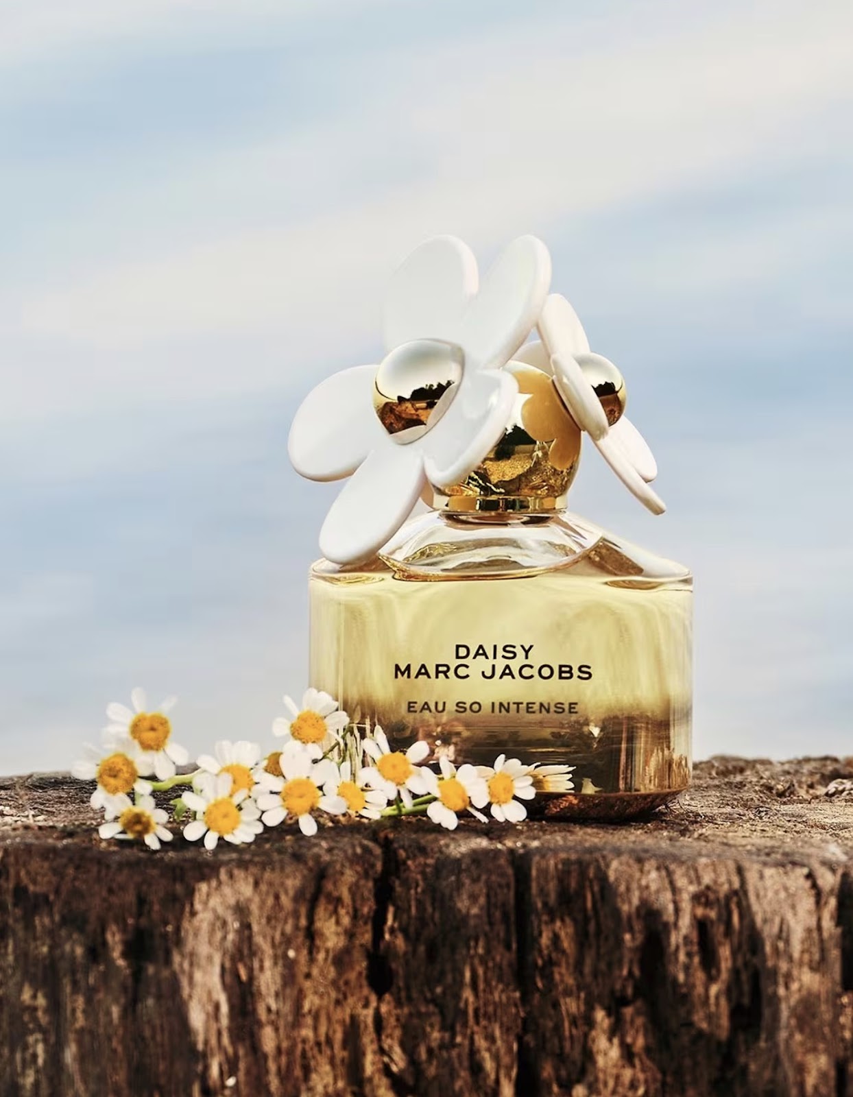 Marc Jacobs Daisy Eau So Intense 100ml Eau de Parfum Spray