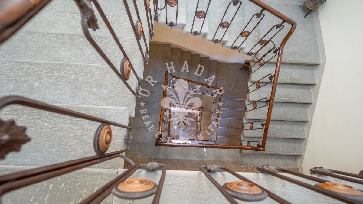 פאלאצו פטרוני (Palazzo Petroni) — 41