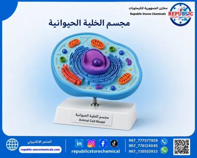 مجسم الخلية الحيوانية تعليمي
