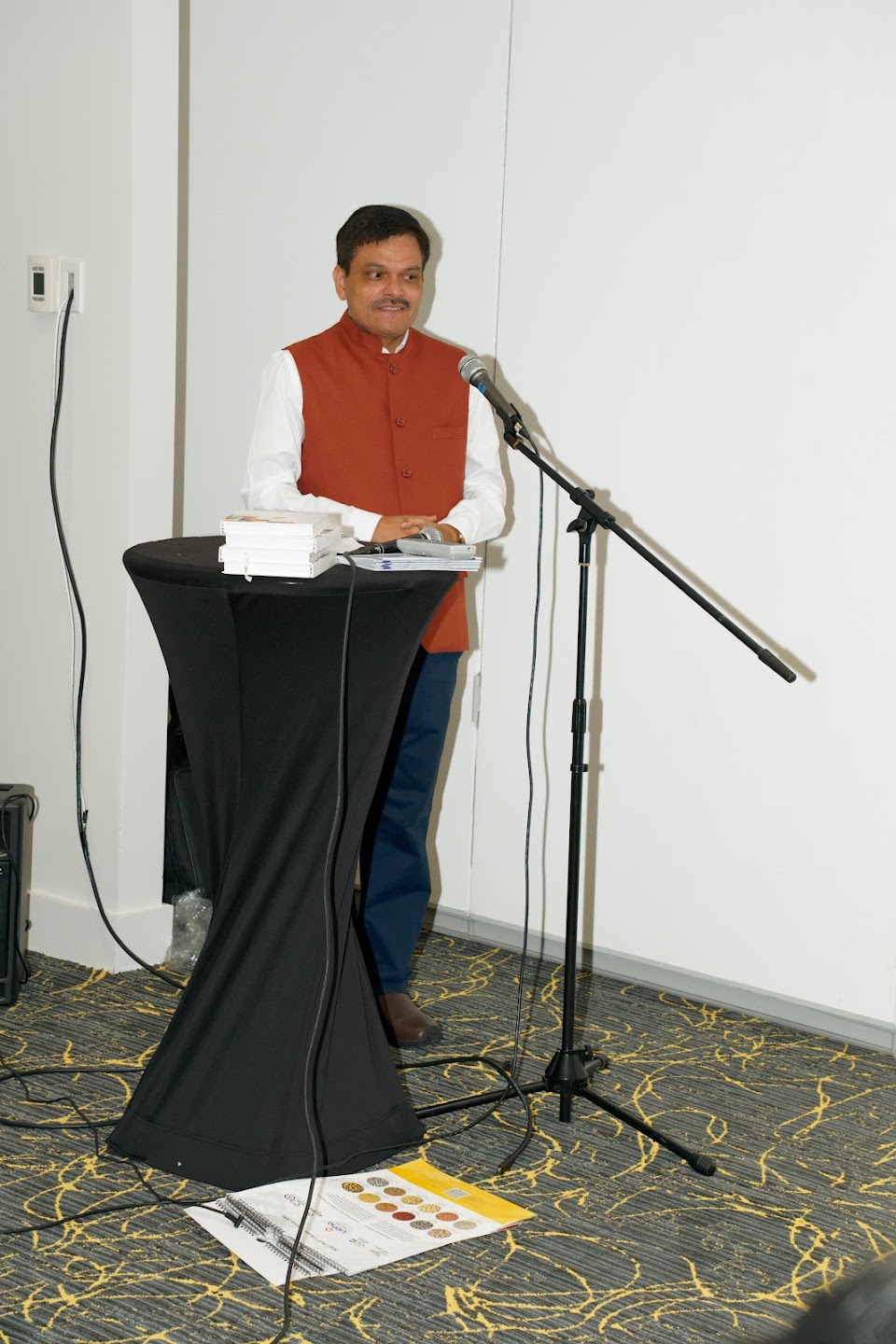 Bharat Mahotsav — Festival of One India, New York, USA — photograph 66