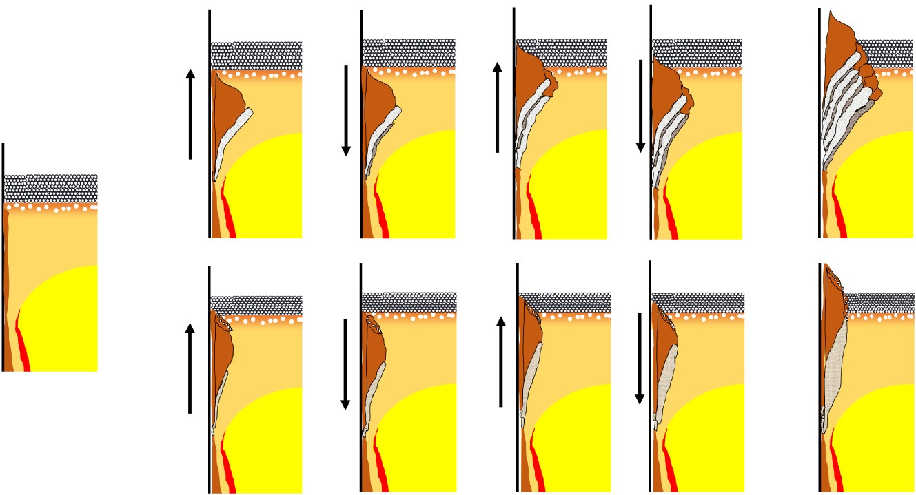 Characterization of the formation of slag rims of mold powder during hypo-peritectic steel continuous casting based on full-sectional microstructures