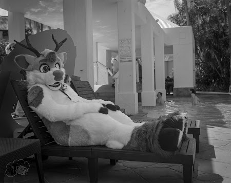 furdu-4.jpg
