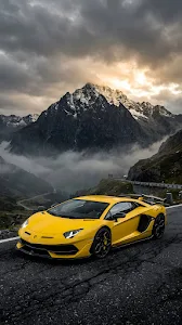 Aerial View of Winding Forest Road