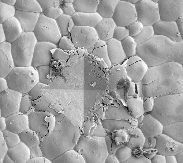 Thermal and mechanical properties of MO2 (M = Ti, Zr, Hf) co-doped YTaO4 medium-entropy ceramics