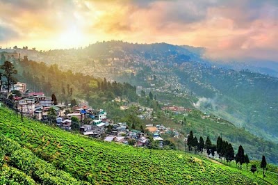 274|DARJEELING & GANGTOK 4NIGHT 5DAYS