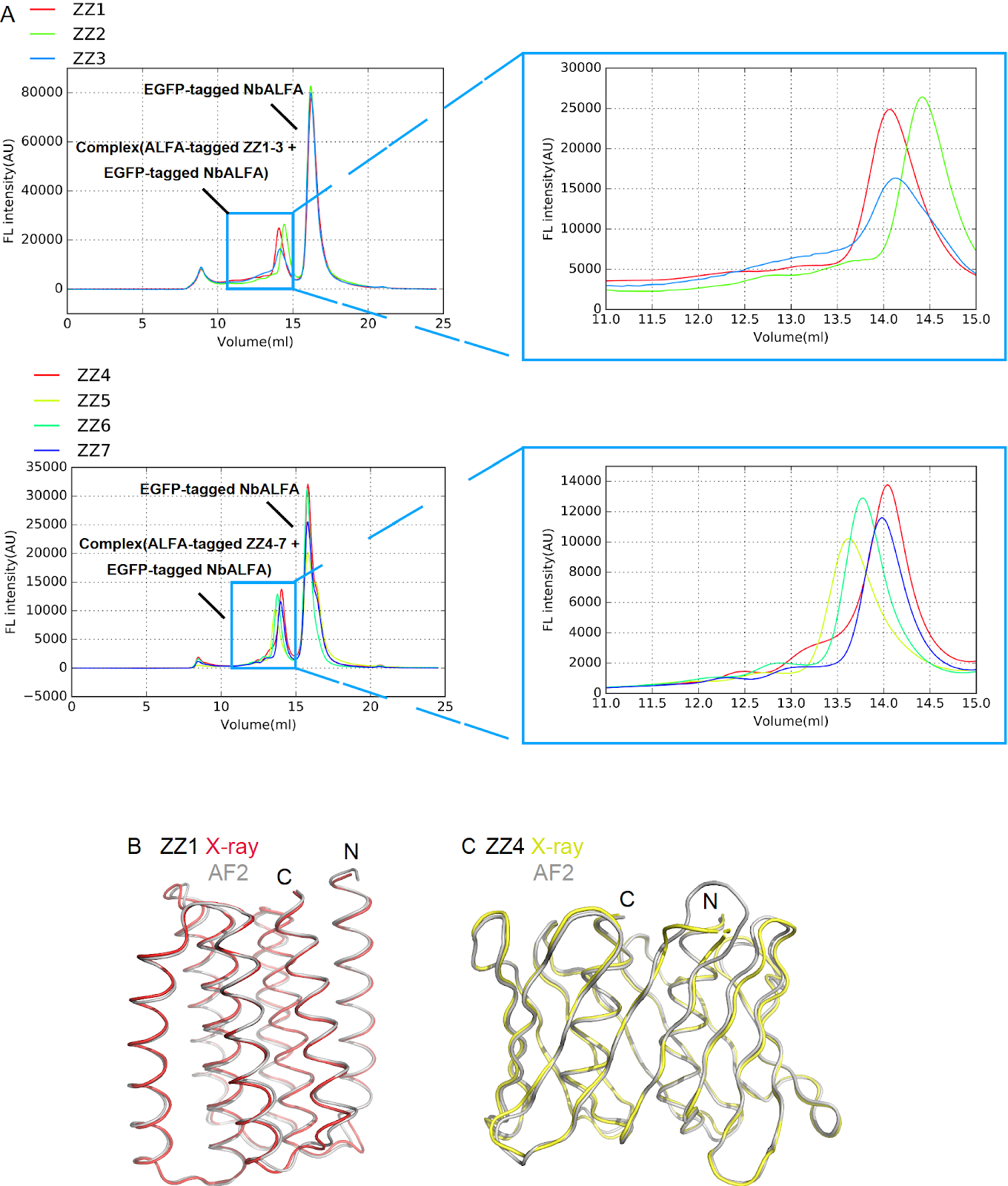 Bioinformatics classification of the MgtE Mg2+ channel and de novo protein design for the stabilization of its novel subclass
