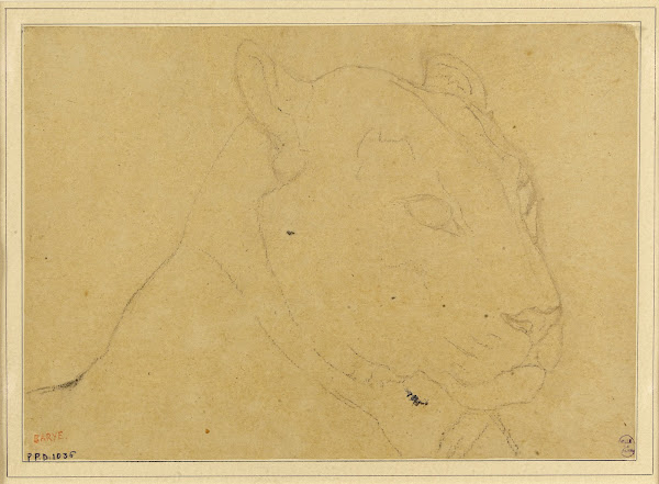 Tête de tigre 19th century