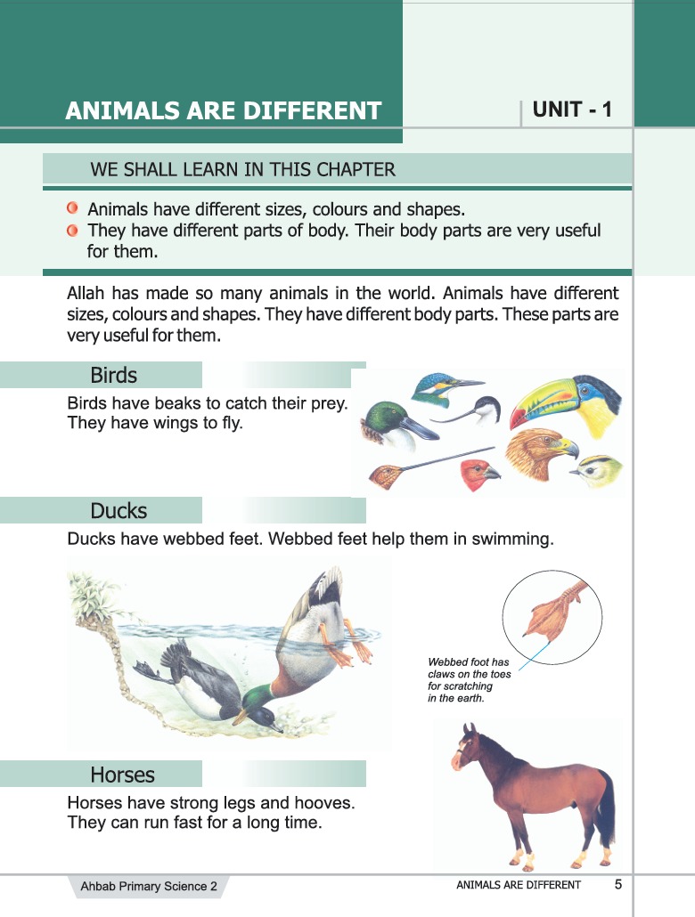Science Book 2