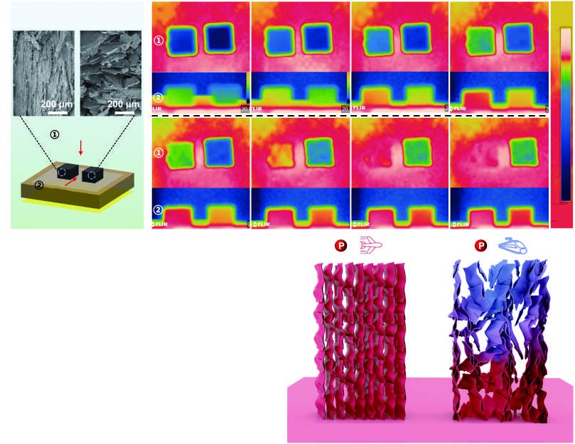 Polyimide-assisted fabrication of highly oriented graphene-based all-carbon foams for increasing the thermal conductivity of polymer composites