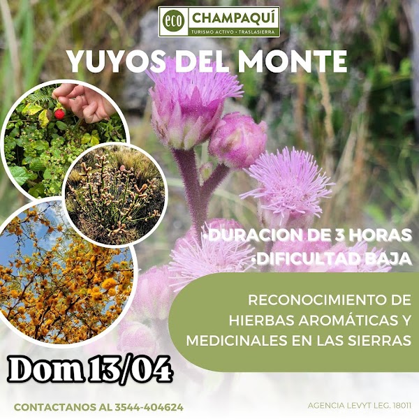 Reconocimiento de hierbas 🌿