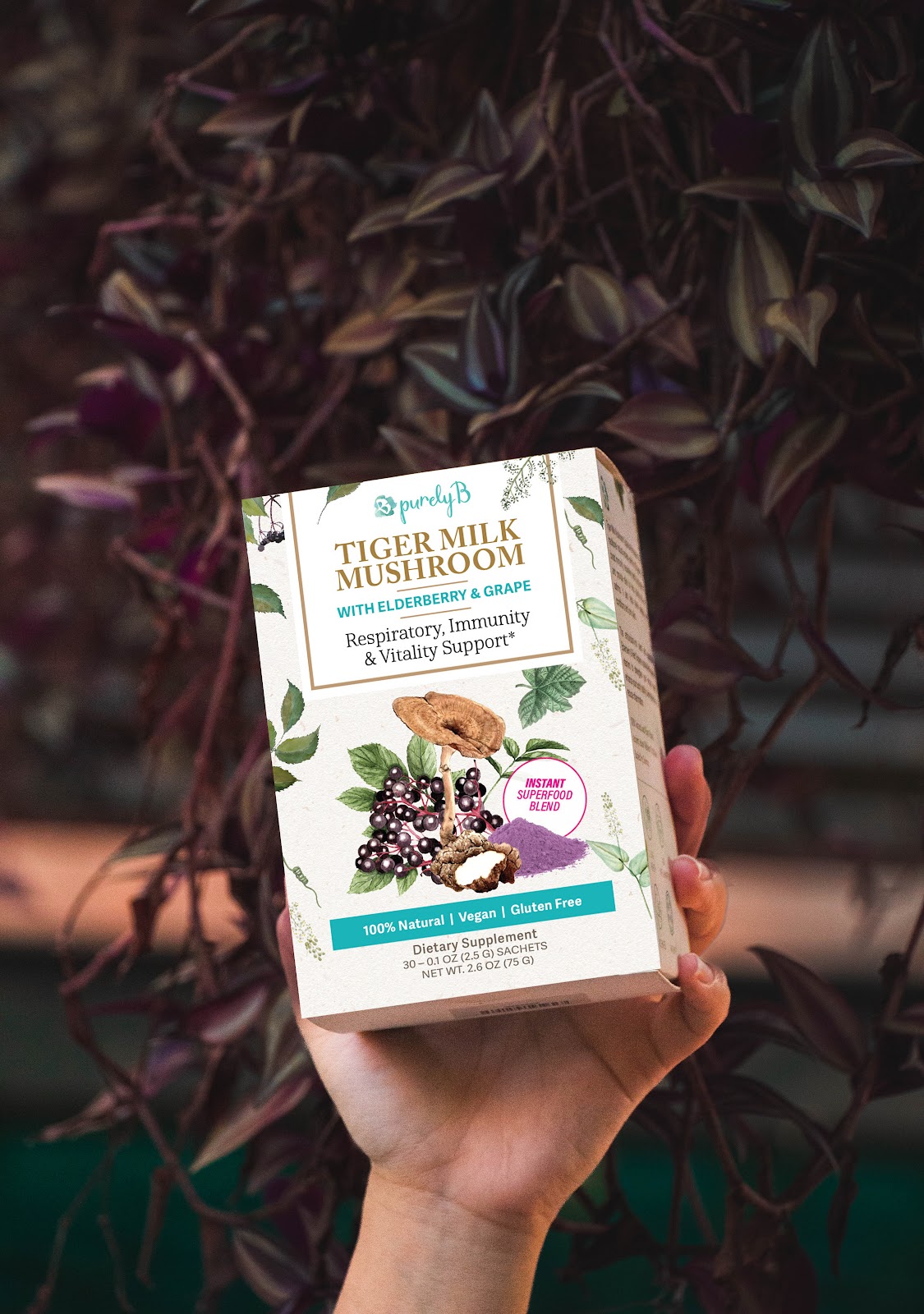 PurelyB Tiger Milk Mushroom 30-sachet box