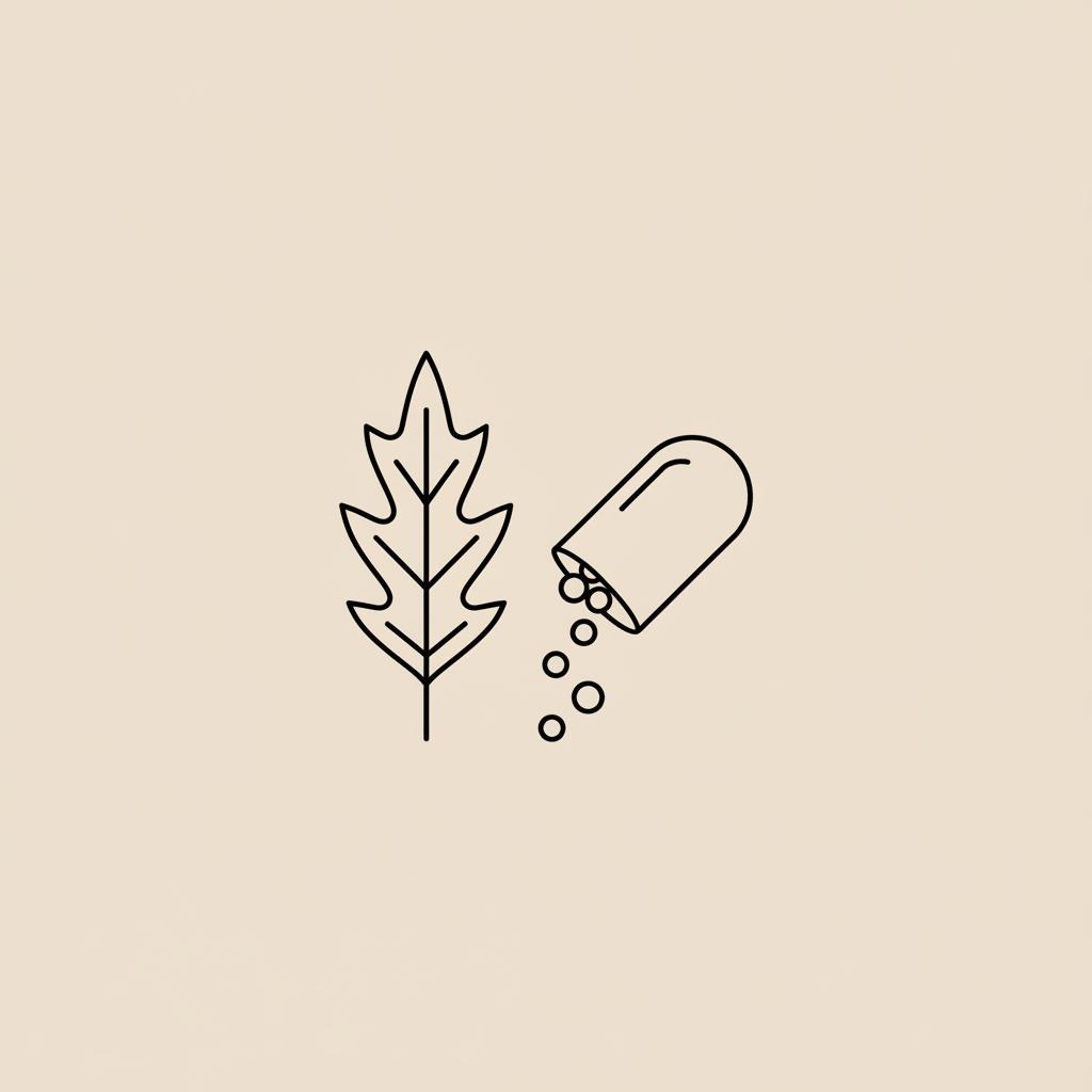 Minimalist line vector of a milk thistle leaf and open capsule on beige background, emphasizing plant silymarin and supplement timing — best time to take milk thistle