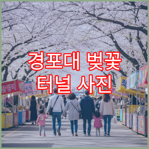 경포대 벚꽃 터널 사진 명소 3월 황금 시간대 찍기 팁