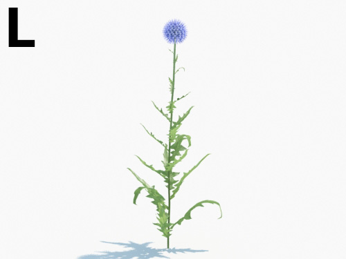 Maxtree - Plant Models Vol.3