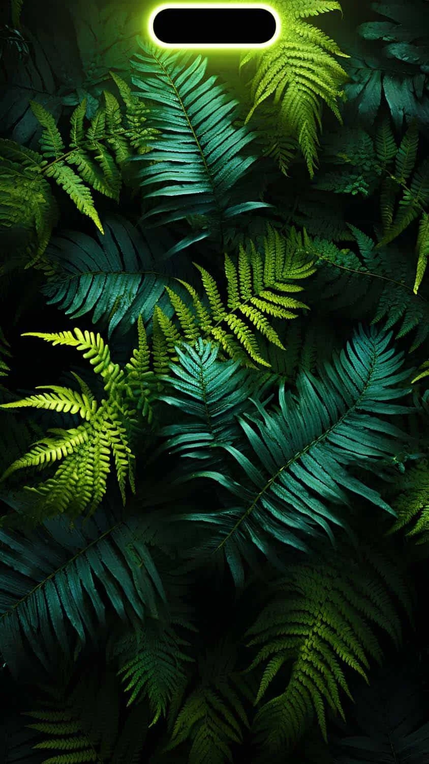 Lush Green Fern Leaves Wallpaper - Nature Photography iPhone Wallpaper (844x1500)