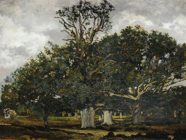 jean De Paris In Fontainebleau Forest
