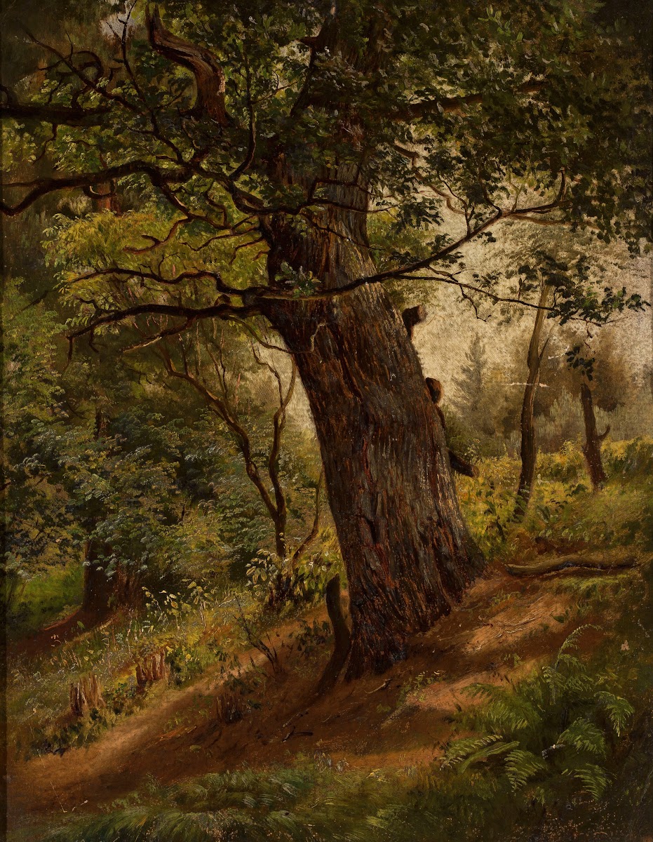 Study of a tree 1861