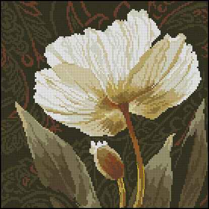 CMP 171348 White Flowers