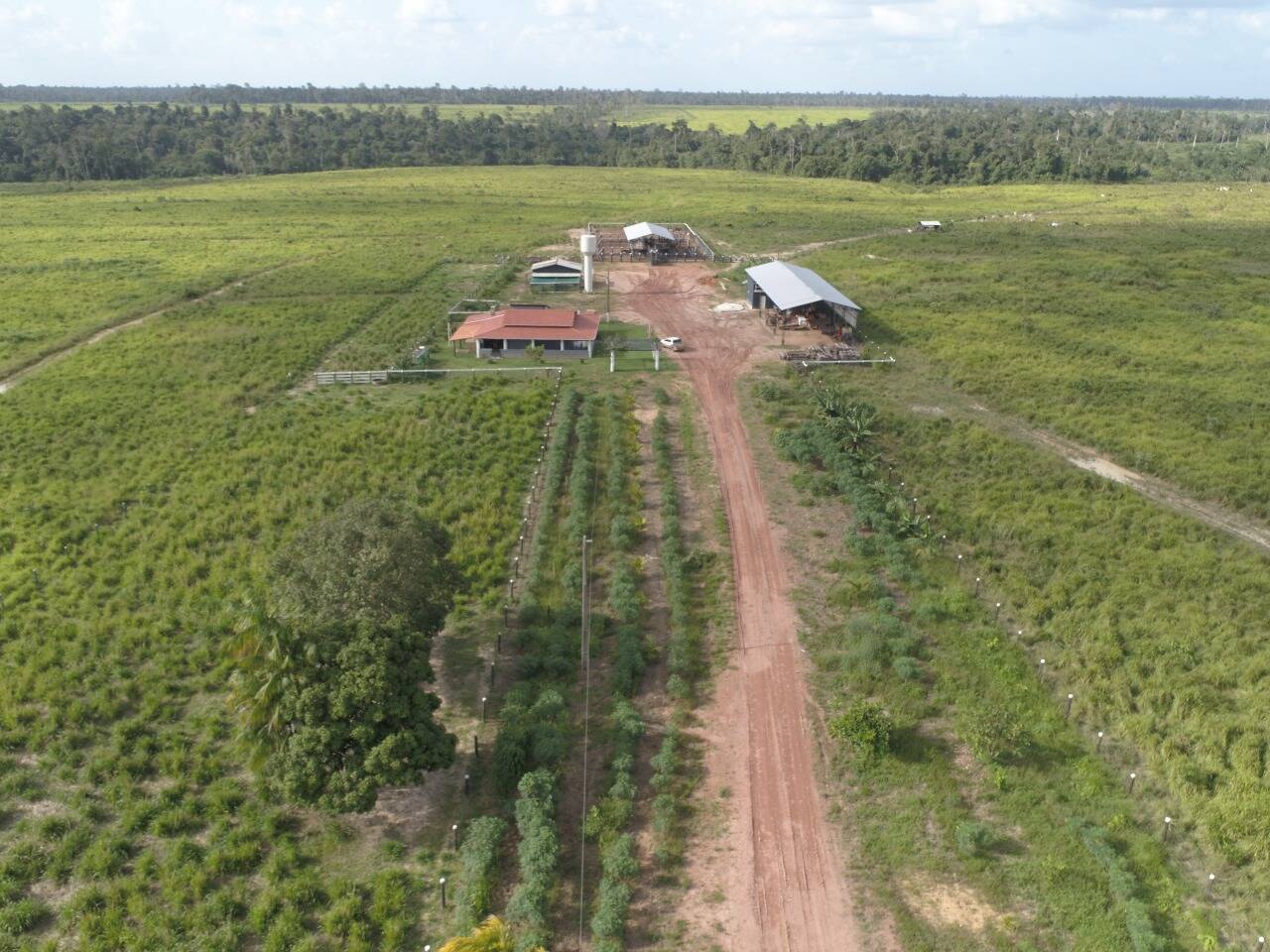 Fazenda em Tailândia-PA 8